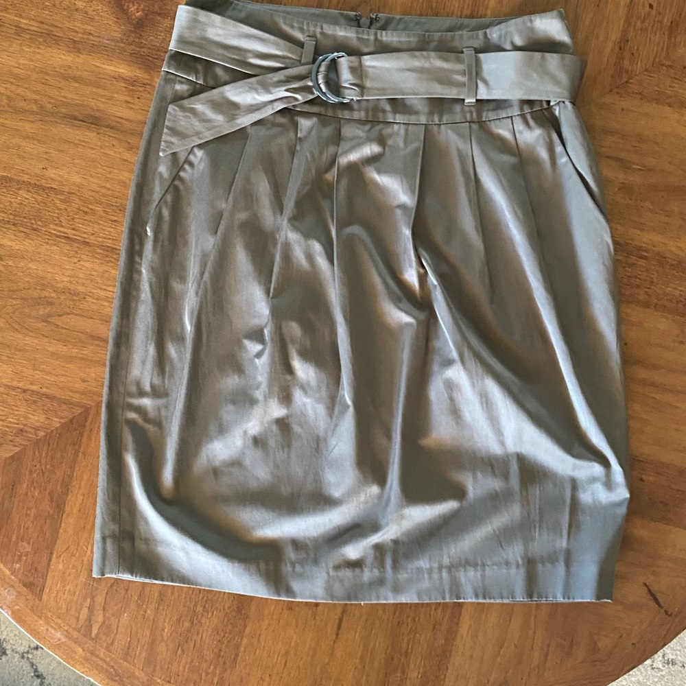 Banana Republic Skirt